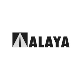 Alaya Thumbnail (1)